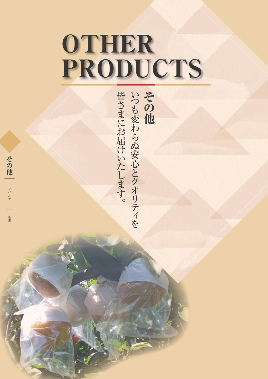 LeftPage Sample Image